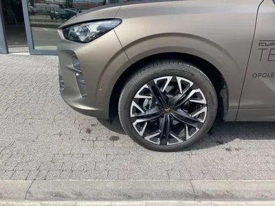 Cupra Terramar 2.0 TSI 4Drive DSG