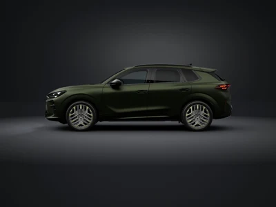 Cupra Terramar 2.0 TSI 4Drive DSG