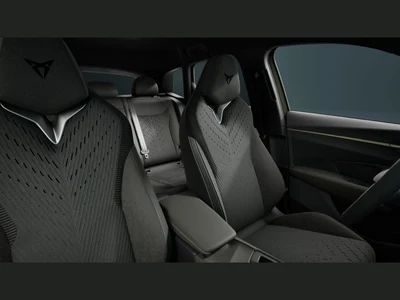 Cupra Terramar 2.0 TSI 4Drive DSG
