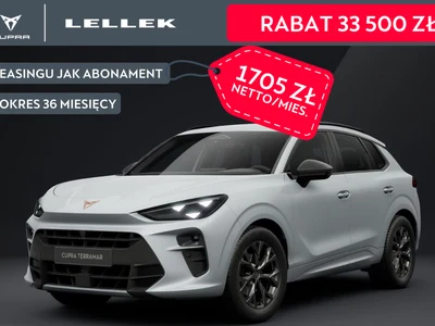 Cupra Terramar 2.0 TSI 4Drive DSG