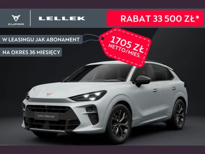 Cupra Terramar 2.0 TSI 4Drive DSG