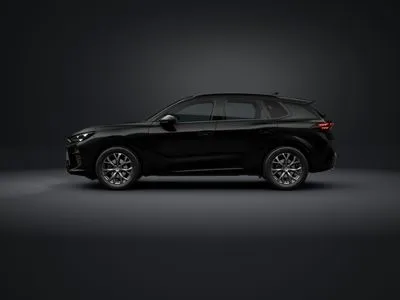 Cupra Terramar 2.0 TSI 4Drive DSG