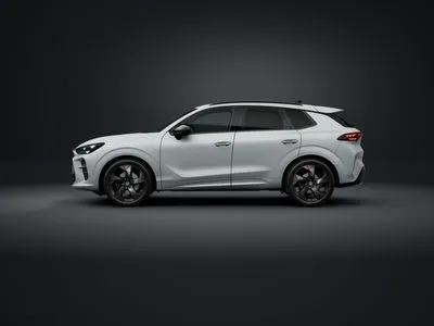 Cupra Terramar 2.0 TSI 4Drive Advantage Edition DSG
