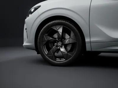 Cupra Terramar 2.0 TSI 4Drive Advantage Edition DSG