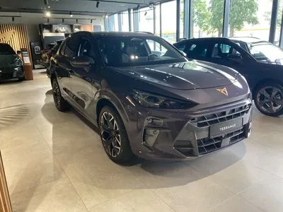 Cupra Terramar 2.0 TSI 4Drive DSG