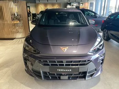 Cupra Terramar 2.0 TSI 4Drive DSG