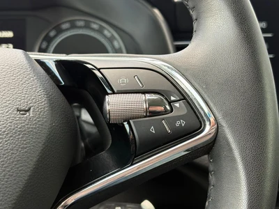Škoda Kamiq 1.0 TSI 110 KM, Salon PL, I właściciel!