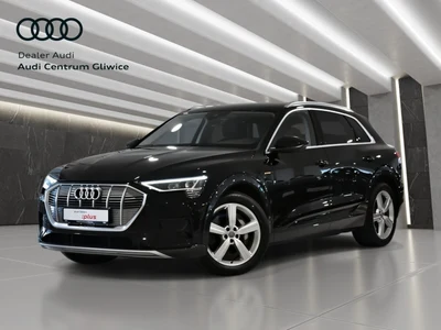Audi e-tron Night vision, pneumatyka, serwis ASO
