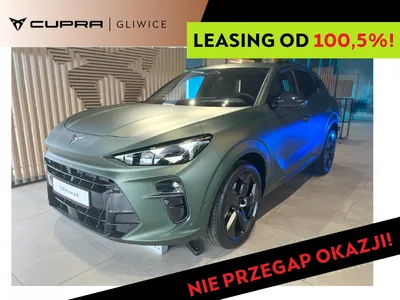 Cupra Terramar 2.0 TSI 4Drive Tribe Edition DSG