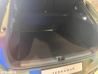 Cupra Terramar 2.0 TSI 4Drive Tribe Edition DSG