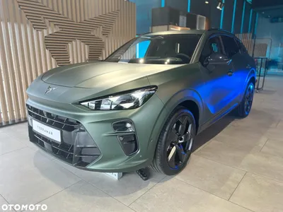 Cupra Terramar 2.0 TSI 4Drive Tribe Edition DSG