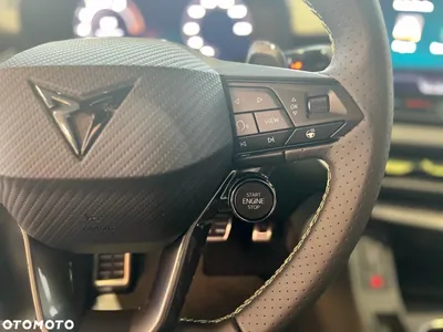 Cupra Terramar 2.0 TSI 4Drive Tribe Edition DSG