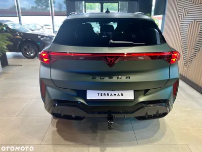 Cupra Terramar 2.0 TSI 4Drive Tribe Edition DSG
