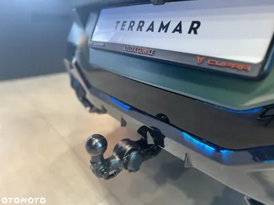 Cupra Terramar 2.0 TSI 4Drive Tribe Edition DSG