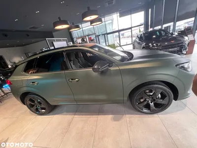 Cupra Terramar 2.0 TSI 4Drive Tribe Edition DSG