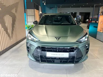 Cupra Terramar 2.0 TSI 4Drive Tribe Edition DSG