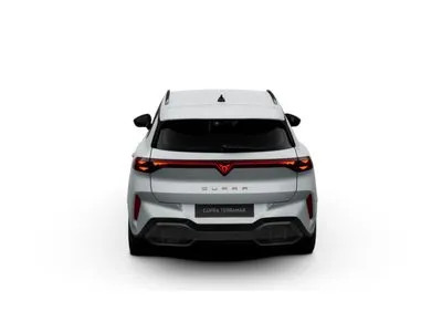 Cupra Terramar 2.0 TSI 4Drive Advantage Edition DCC DSG