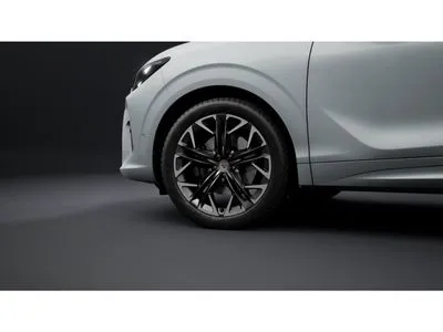 Cupra Terramar 2.0 TSI 4Drive Advantage Edition DCC DSG
