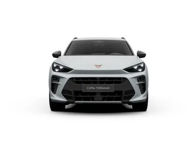 Cupra Terramar 2.0 TSI 4Drive Advantage Edition DCC DSG