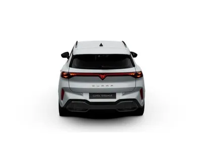 Cupra Terramar 2.0 TSI 4Drive Advantage Edition DCC DSG
