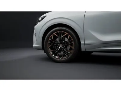 Cupra Terramar 2.0 TSI 4Drive Advantage Edition DCC DSG