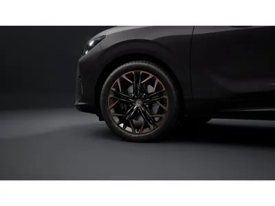 Cupra Terramar 2.0 TSI 4Drive Advantage Edition DSG