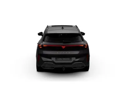 Cupra Terramar 2.0 TSI 4Drive Advantage Edition DSG