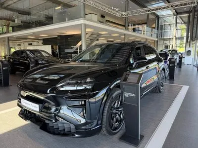 Porsche Cayenne 113.2kWh