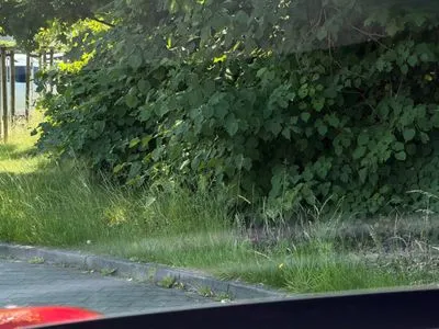 Porsche Macan 4S 100kWh