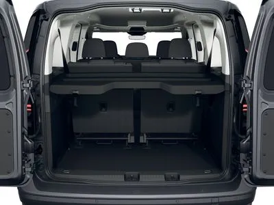 Volkswagen Caddy Maxi 2.0 TDI DSG