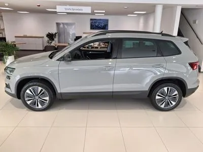 Skoda Karoq Wybierz