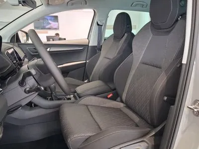 Skoda Karoq Wybierz