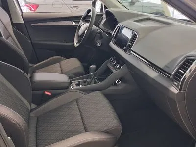 Skoda Karoq Wybierz