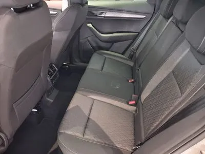 Skoda Karoq Wybierz
